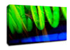 Lime Green Coil Canvas Wall Art