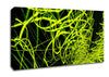 Lime Green Maze Canvas Wall Art