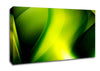 Lime Light Canvas Wall Art