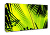 Lime Palm Tree Canvas Wall Art