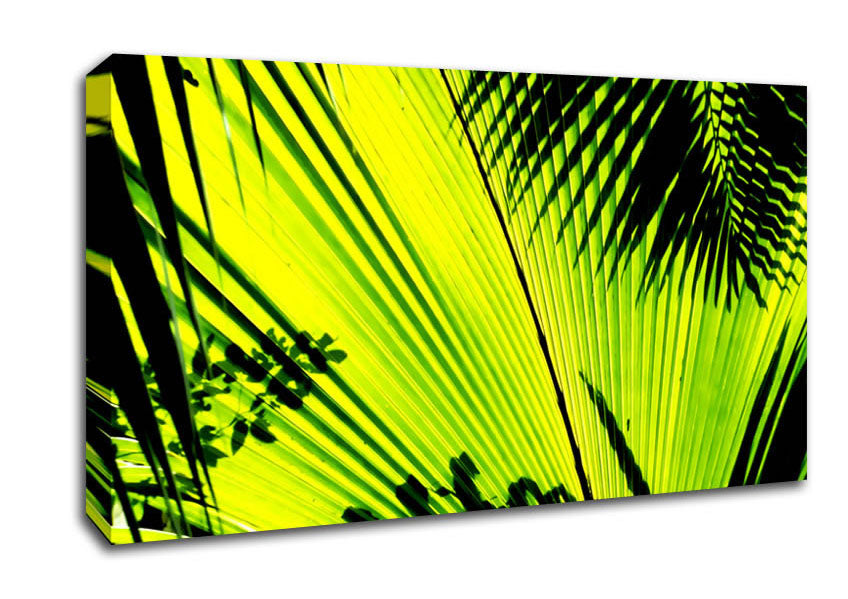 Lime Palm Tree Canvas Wall Art