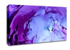 Liquid Infusion Canvas Wall Art