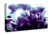 Magic Mystical Mushrooms Canvas Wall Art