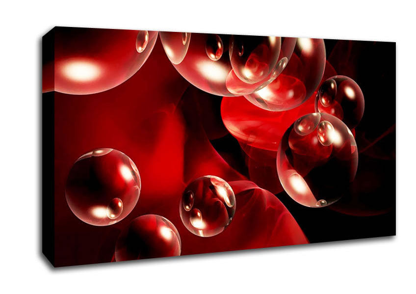 Malteser Delight Canvas Wall Art