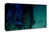 Meadow Canvas Wall Art