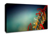 Mikro Plant Canvas Wall Art