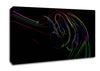 Motion Of Eternity Canvas Wall Art