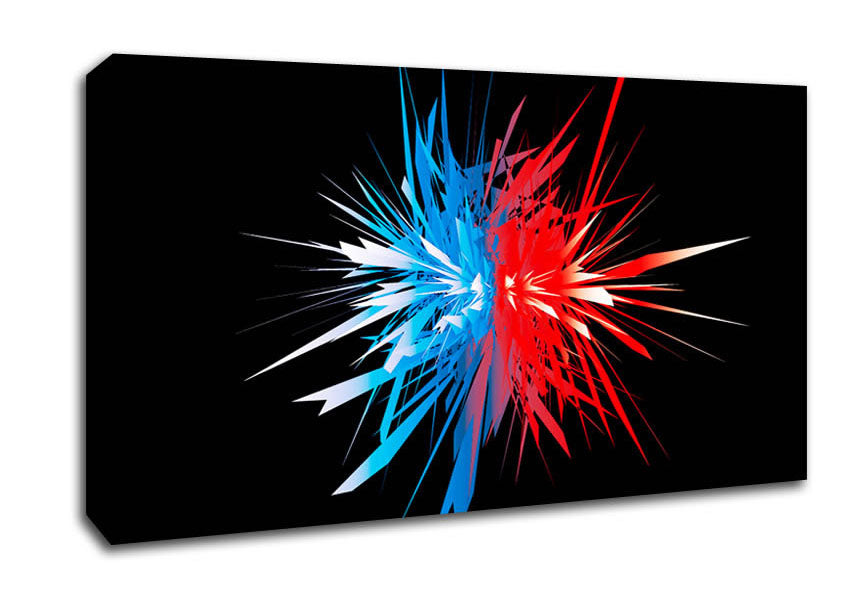 Opposite Spike Surprise Canvas Wall Art
