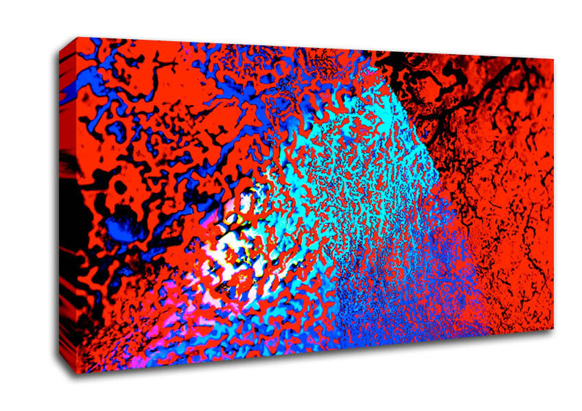 Orange Mase Canvas Wall Art