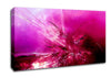 Pink Fury Canvas Wall Art