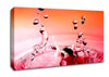 Pink Water Splash Canvas Wall Art