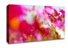 Pinkish Canvas Wall Art