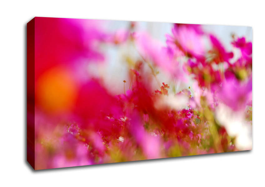 Pinkish Canvas Wall Art