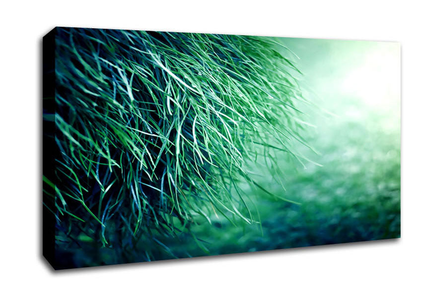 Pure Grass Canvas Wall Art
