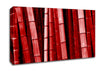 Red Bamboo Canvas Wall Art