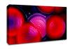 Red Blue Slices Canvas Wall Art