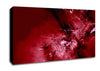 Red Broken Glass Canvas Wall Art