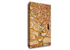 Klimt Frieze 2 Canvas Wall Art