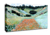 Monet Poppy Field Near Giverny Canvas Wall Art