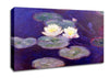 Monet Water Lily Canvas Wall Art