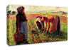 Pissarro Peas Growing In Eragny Canvas Wall Art