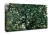 Lovis Corinth Tree Canvas Wall Art