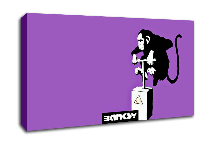 Monkey Detonator Purple Canvas Wall Art