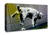 Peeing Dog Canvas Wall Art