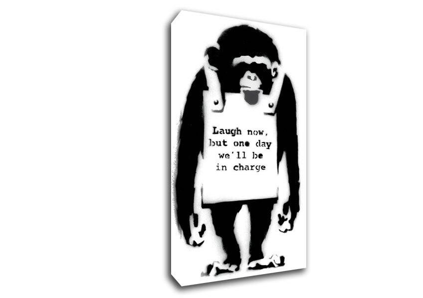 Laugh Now Monkey Canvas Wall Art