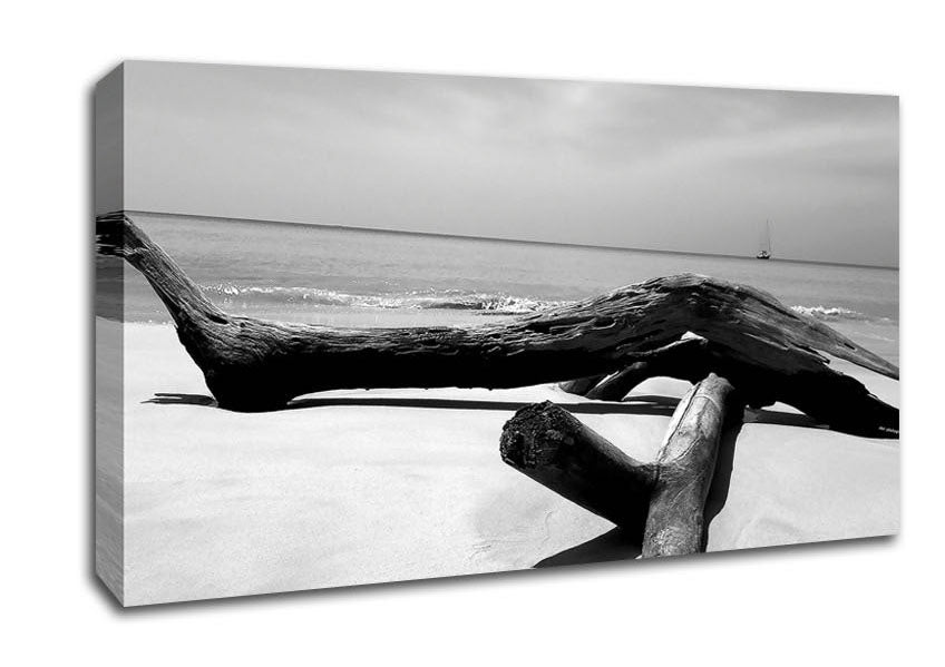 Ocean Drift Wood On The Shore B n W Canvas Wall Art