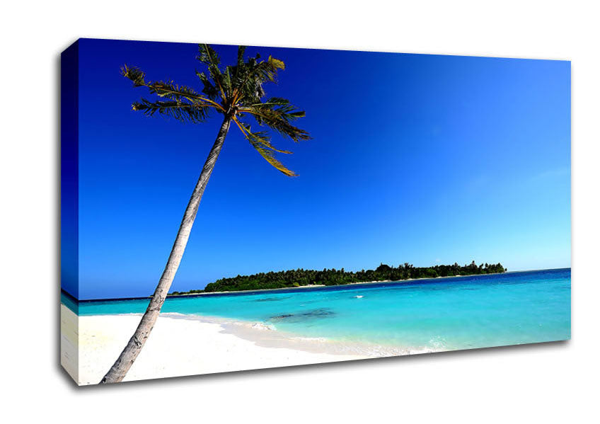 Maldivian Beach Canvas Wall Art