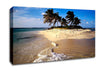 Palmtree Island Canvas Wall Art