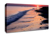 Pink Delight Canvas Wall Art