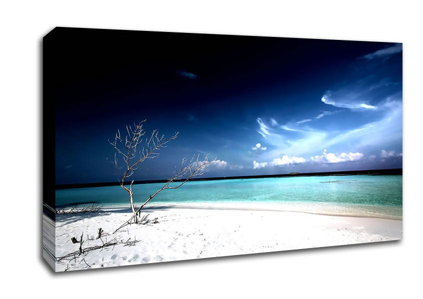Perfect White Sands In The Dark Blue Skies Canvas Wall Art