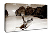 Paradise Cove Coco Canvas Wall Art