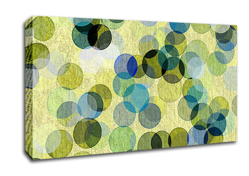 Over Lapping Bubbles Canvas Wall Art