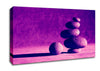 Pink Stone Age Canvas Wall Art