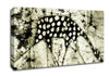 Native Giraffe Canvas Wall Art