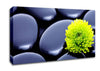 Black Zen Stones And A Yellow Mum Canvas Wall Art
