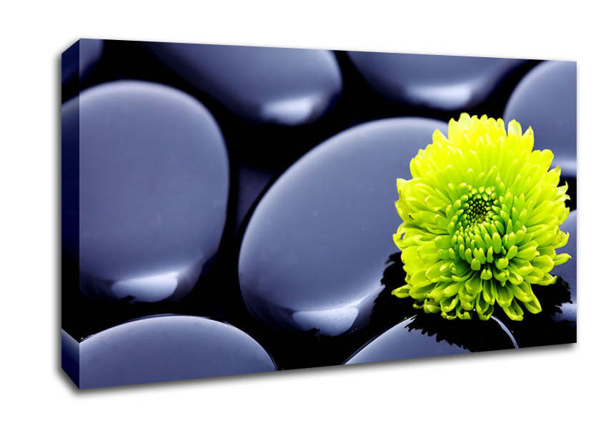 Black Zen Stones And A Yellow Mum Canvas Wall Art