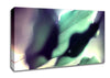 Leaves Hidding From The Light Canvas Wall Art