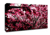 Pink Tree Canvas Wall Art