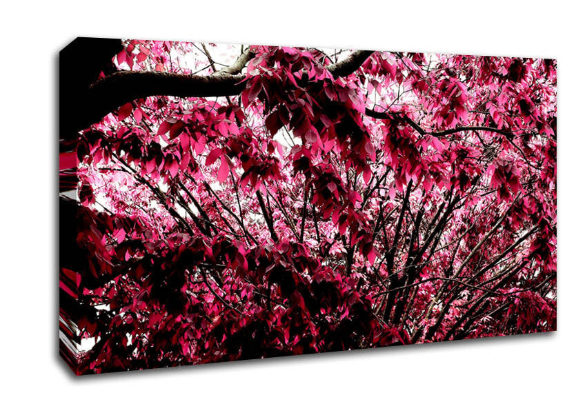 Pink Tree Canvas Wall Art