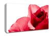 Pure Canvas Wall Art