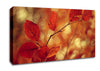 Leaves In Autumn Canvas Wall Art