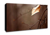 Leafless Canvas Wall Art