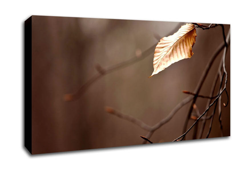 Leafless Canvas Wall Art
