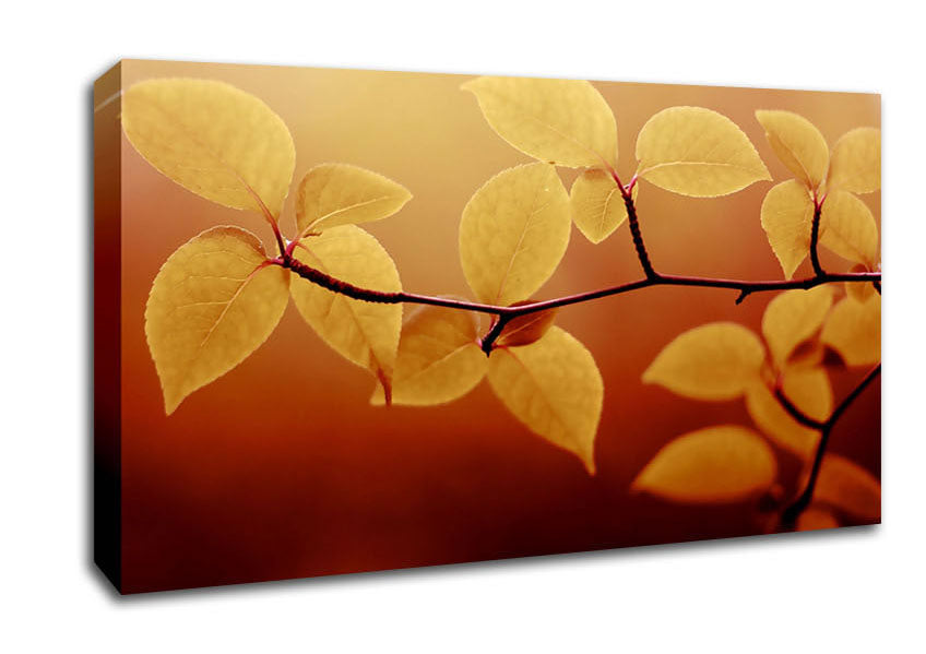 Branch Brown Canvas Wall Art