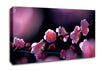 Pink Blossom Flowers Canvas Wall Art