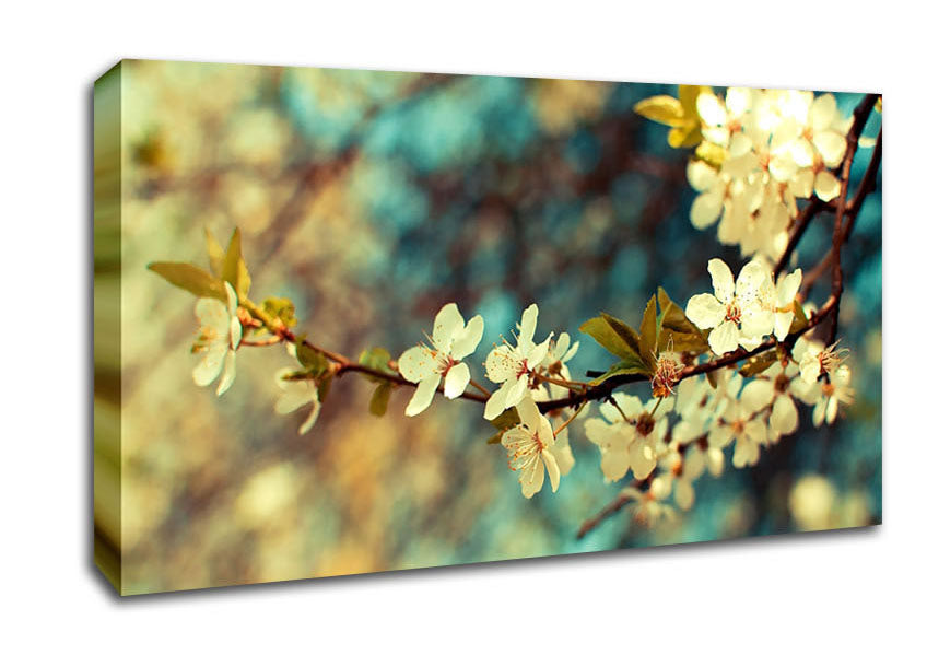 Beautiful Spring Day Canvas Wall Art